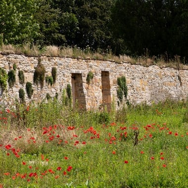 General view of restored gardens to the remains of an Abbey.