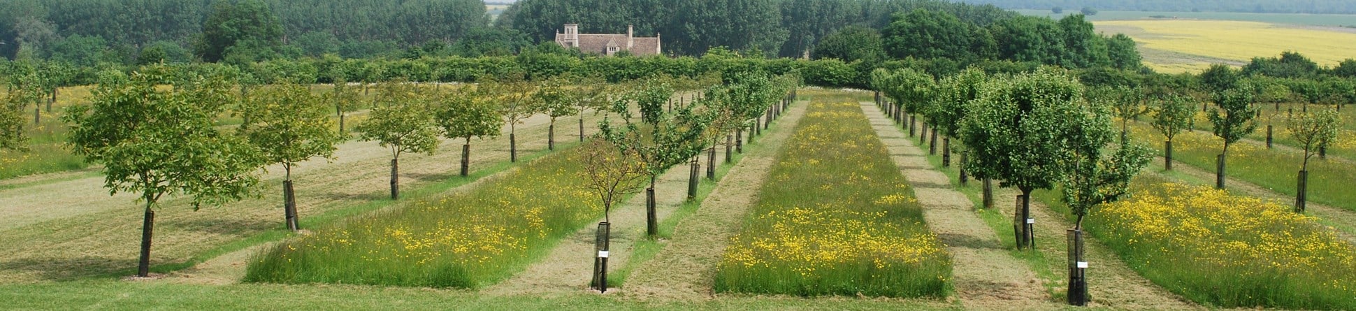 Lyveden New Bield garden, Northants, registered Grade I