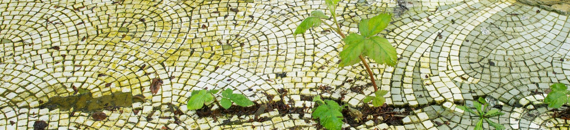 Details of paving stones in the grounds of a building at risk