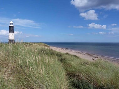 Black and white lighthouse in the background, long grass leading to the sea in the foreground